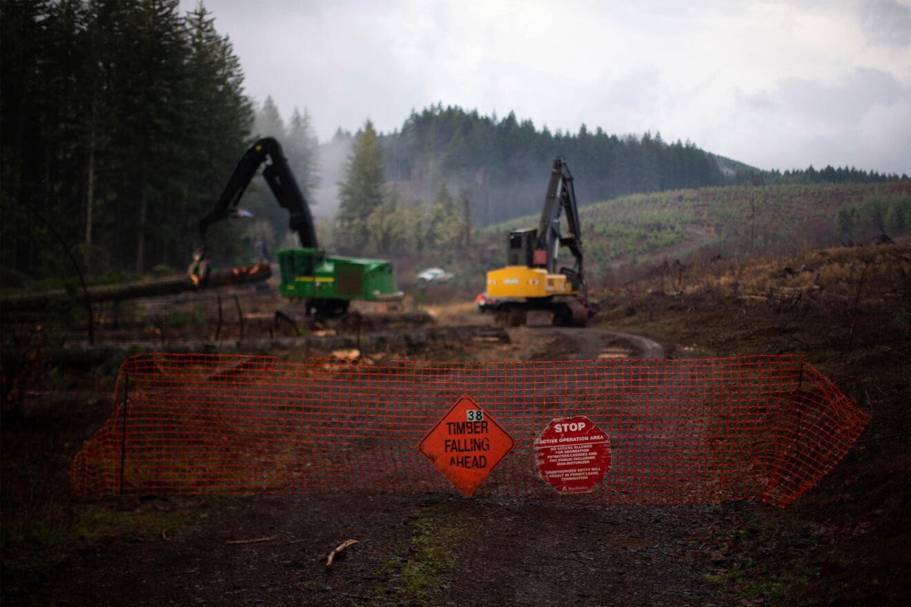 Machinery logs forestland owned by Weyerhaeuser outside Falls City, Ore.